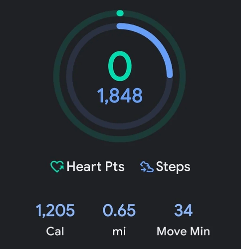 Amazfit bip heart store rate google fit