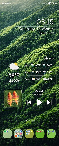 Screenshot_20250315_081617_One UI Home
